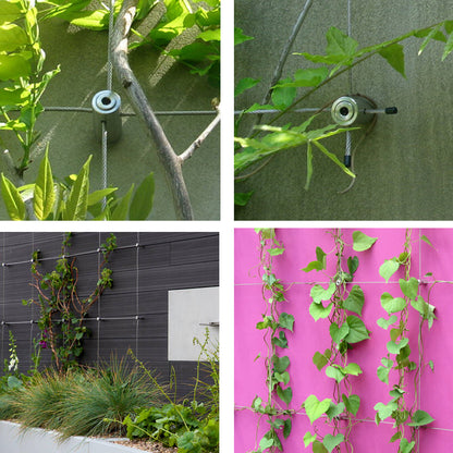 stainless steel trellis for climbing plants Senmit 36 Pcs Wire Trellis Kits for Climbing Plants, Vines and Green Wall, Non Tensioned Kit for Brick Wall, Fence Panels, Wood & Siding,WT-36