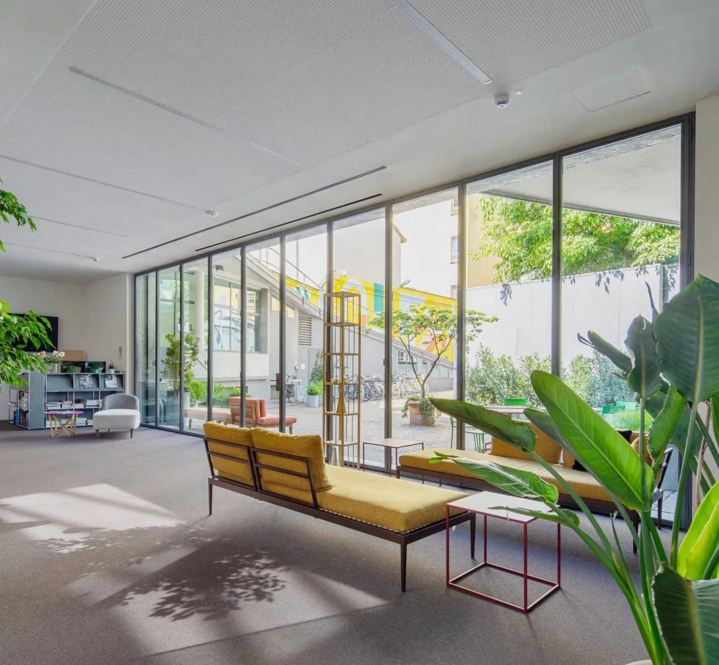 Slim steel fixed windows spanning a bright living room
